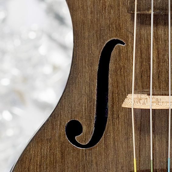Carbon/Flax violin